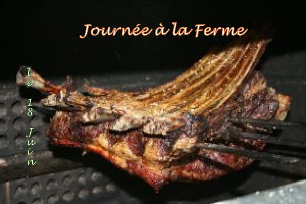 barbecue.jpg