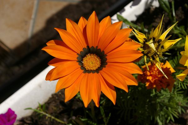_IGP9270.JPG