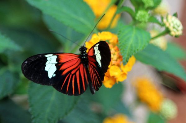 test-358.JPG