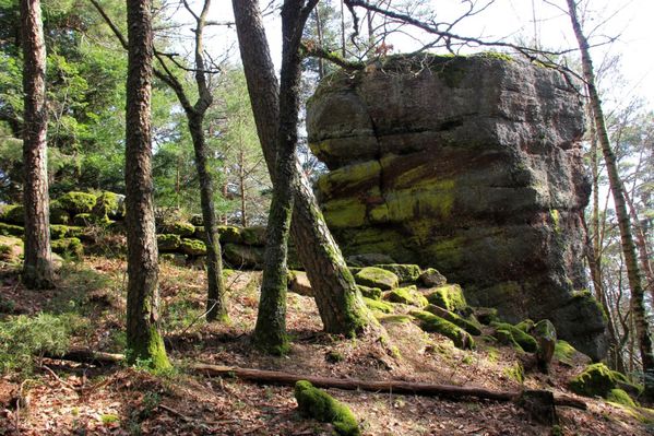 Mont-Ste-Odile 2416