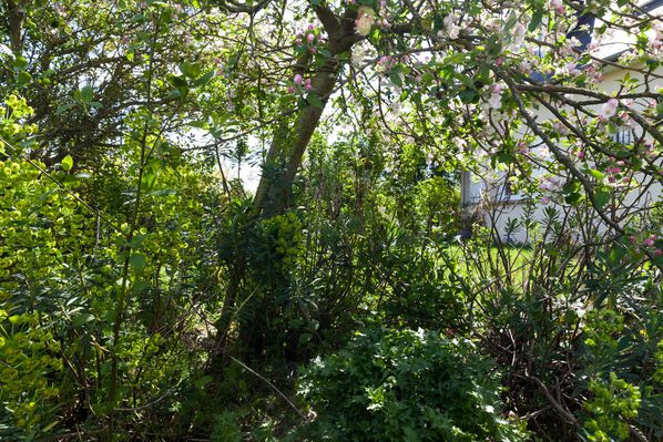 C-est-le-printemps-4.jpg