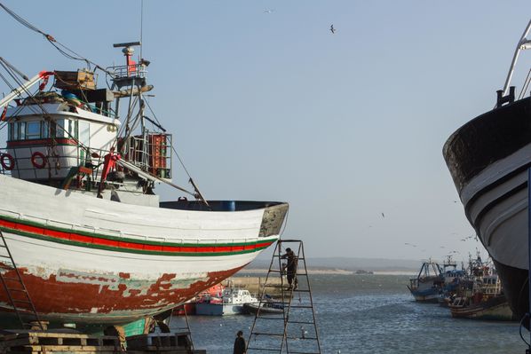 Maroc-2012---Essaouira-16.jpg