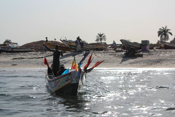 Senegal-2010---Sine-Saloum-16.jpg