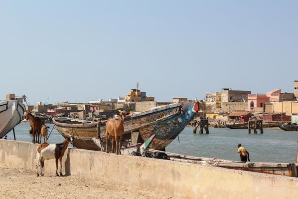 Senegal-2010---St-Louis-7.jpg