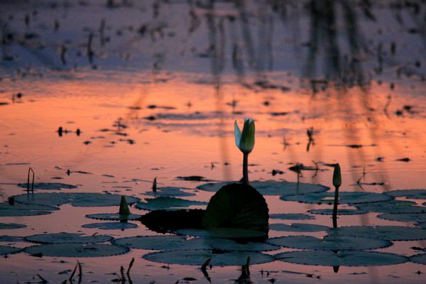 Couchers-soleil 2639