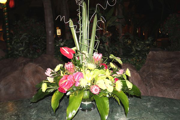 fleurs 4298