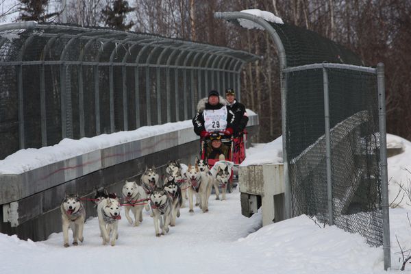 course-chien 6481