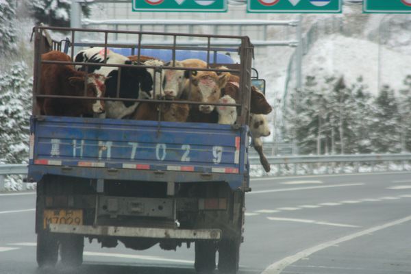 CHINE 4821