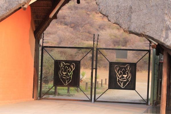 IWDBA Madikwe Tau143