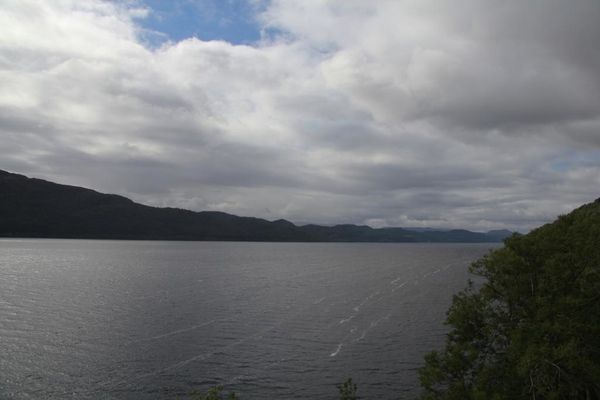 ECOSSE 3156