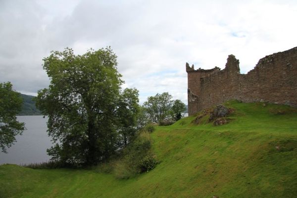 ECOSSE 3162