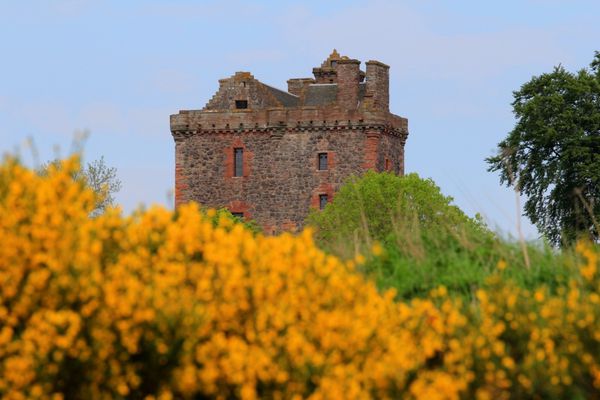 ECOSSE 7385