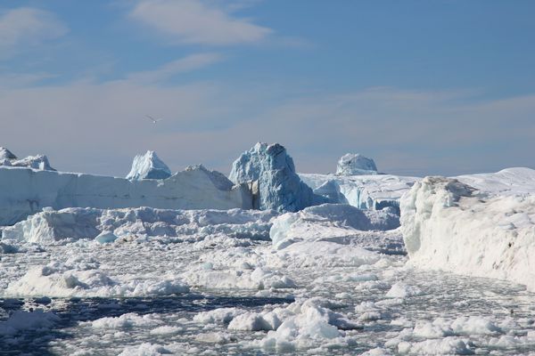 icebergs-1 1228
