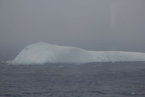 islande-a-groenland 0481