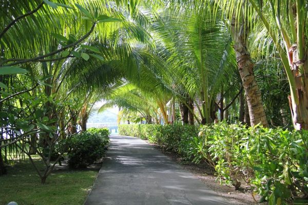 BORABORA 8769