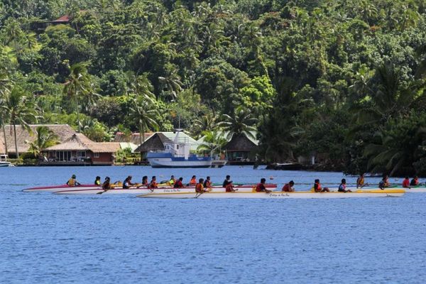 moorea 8684