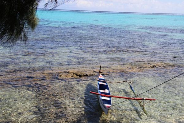 moorea 8886