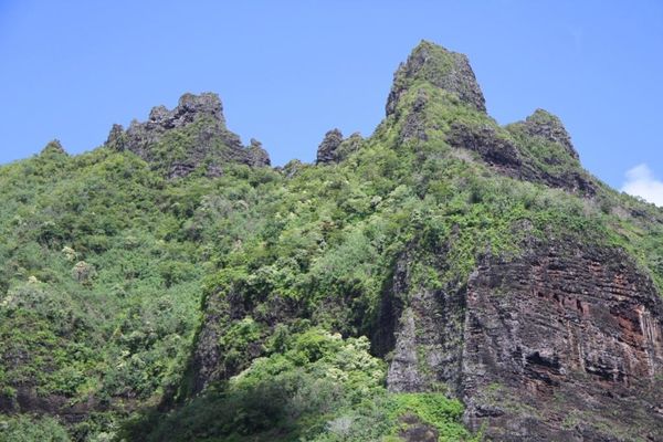 moorea 8932