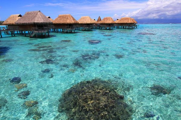 sofitel-moorea 8597