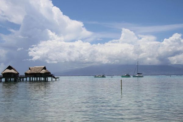 sofitel-moorea 9099