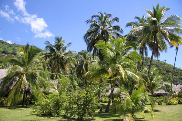 sofitel-moorea 9101