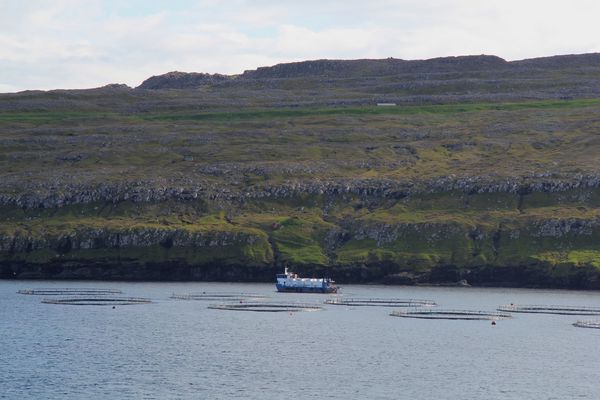 FEROE--ECOSSE 3003