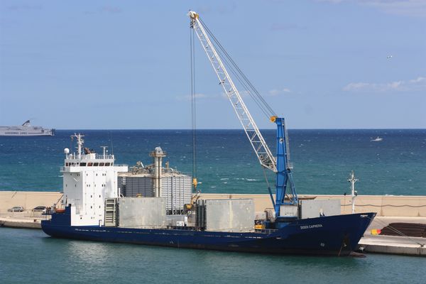 bari 8842