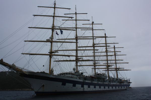 bateau 9546