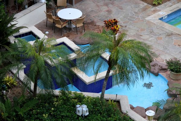 fleurs-floride 2797