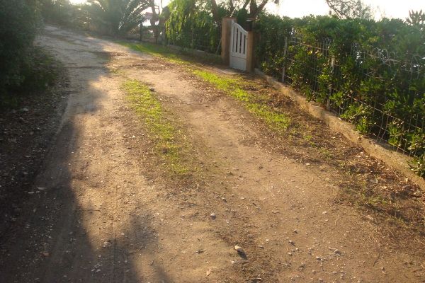 DSC02098
