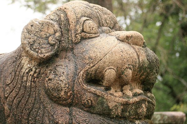 Polonnaruwa (5)