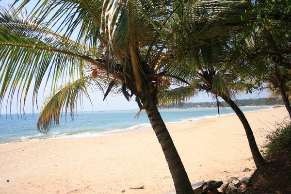 Tangalle (6)