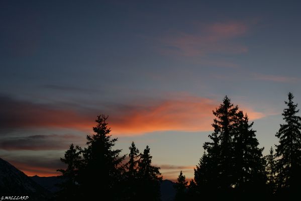 DSC03829.JPG