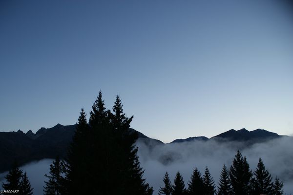 DSC00454