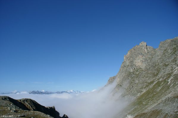 DSC05218