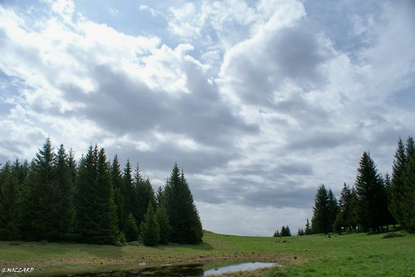 DSC07899