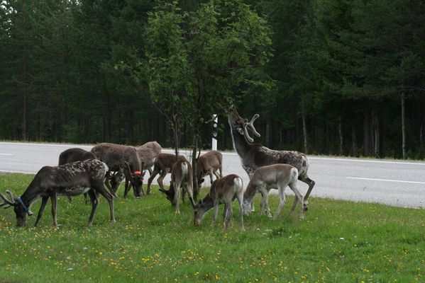 finlande-2 3438
