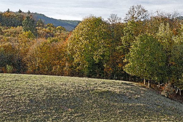 Photo automnale aquarellisée à La Jonchère