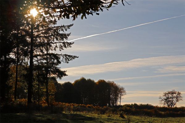 Automne à La Jonchère