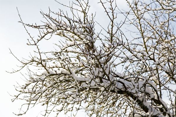 Neige à Rilhac Rancon