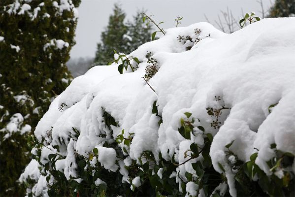 Neige à Rilhac Rancon