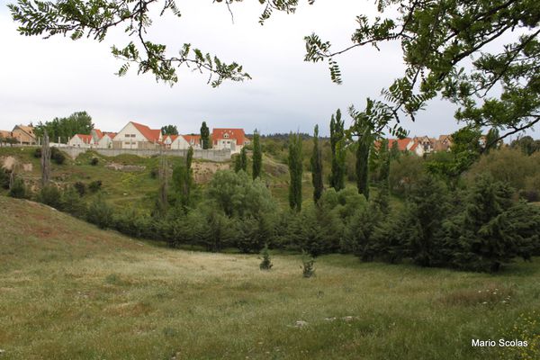 Ifrane 2362