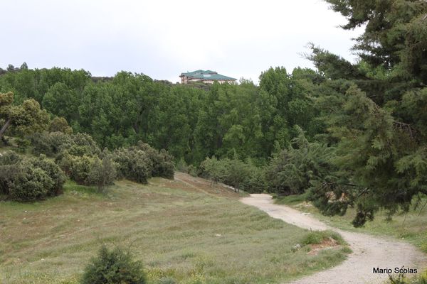 Ifrane 2365