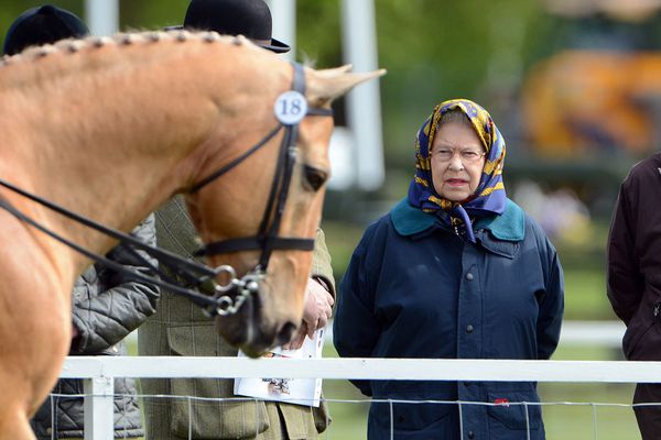 sem13maie-Z5-Reine-Elizabeth-II-royal-Windsor-horse-Show.jpg