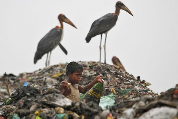 sem13juic-Z6-Un-enfant-ramasse-des-ordures-a-Guwahati-Inde.jpg