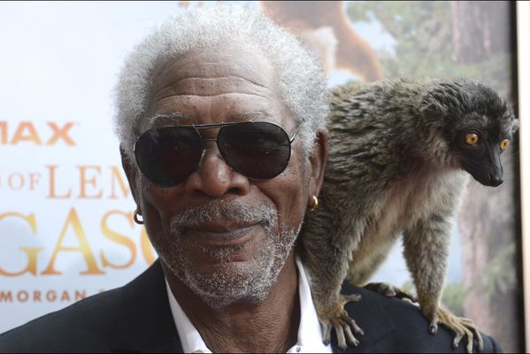 sem14avra-Z4-Bien-accompagne-morgan-Freeman-island-of-lemur.jpg