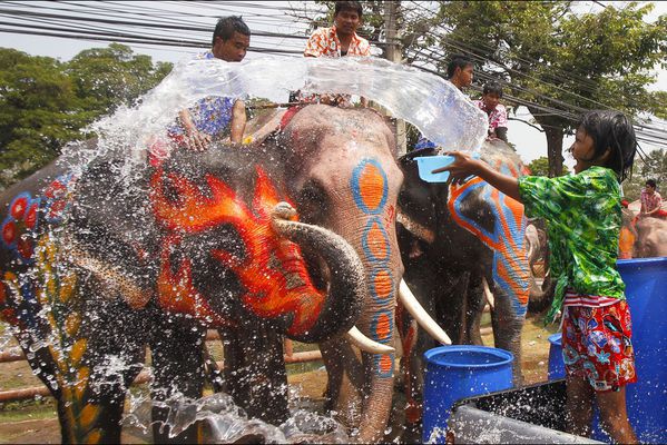 sem14avre-Z7-elephants-arroses-nouvel-an-thailande.jpg