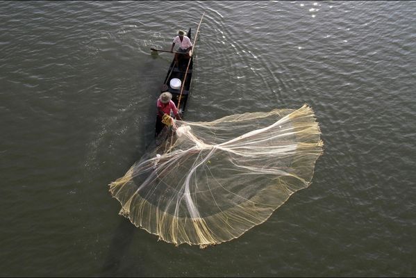 sem14octa-Z4-L-art-de-la-peche-Kochi-Inde.jpg