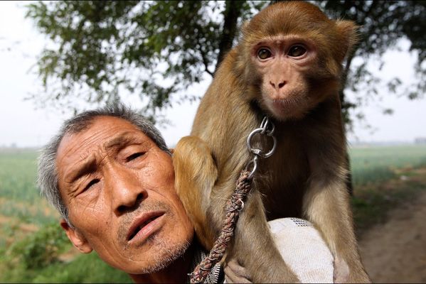sem14octh-Z2-Dresseur-de-singes-Chine.jpg