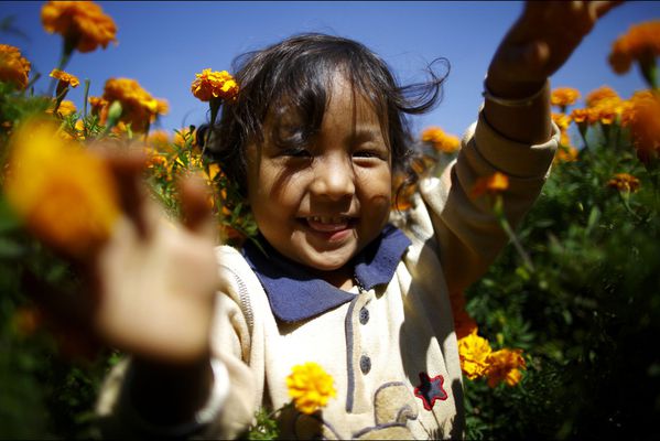 sem14octj-Z10-Jouer-dans-les-fleurs-Katmandou-Nepal.jpg